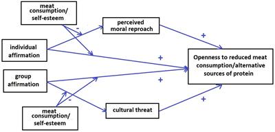 Effects of experimentally induced self-affirmation on the openness to meat reduction and alternative protein sources